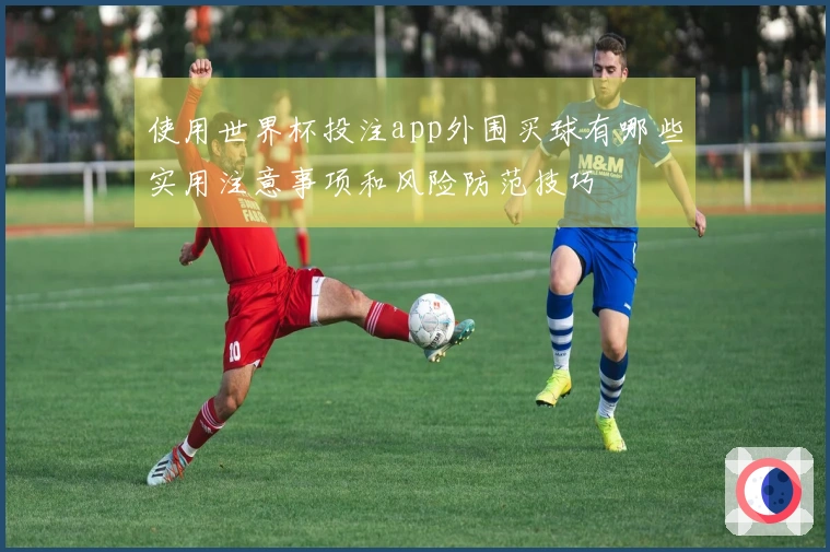 使用世界杯投注app外围买球有哪些实用注意事项和风险防范技巧
