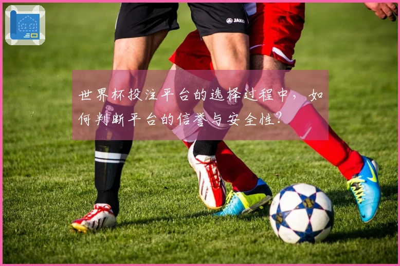 世界杯投注平台的选择过程中,如何判断平台的信誉与安全性?